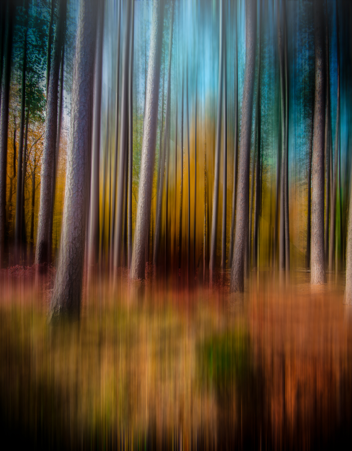 The bad wolf leaves here